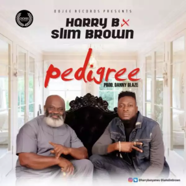 Harry B - Pedigree ft. Slim Brown
